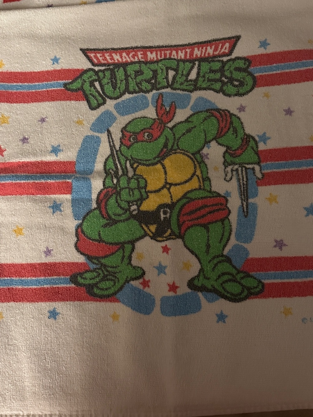 Teenage Mutant Ninja Turtles Graphic Bath Towel Vintage 1980’s